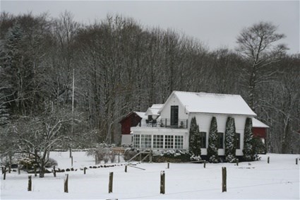 Kennel Holckenhus'
